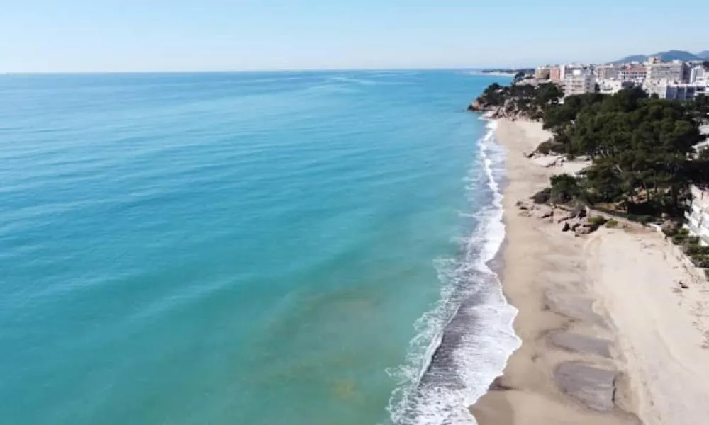 Miami Playa Palmera E